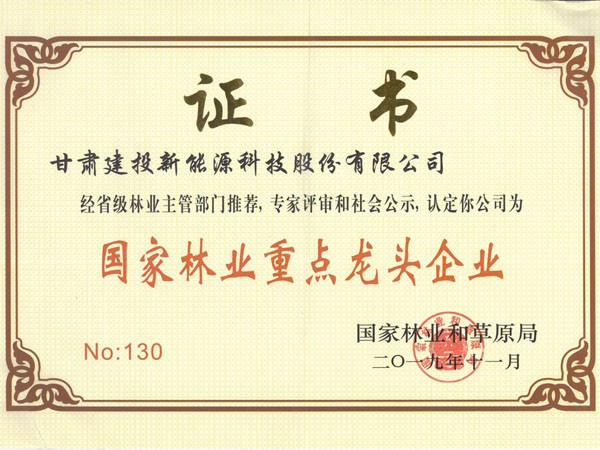 甘肅建投新能源公司喜獲第四屆“中國林業(yè)產(chǎn)業(yè)創(chuàng)新獎(jiǎng)”及“國家林業(yè)重點(diǎn)龍頭企業(yè)”稱號