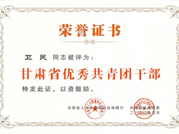 甘肅建投新能源科技股份有限公司團(tuán)支部青年代表參加“學(xué)習(xí)寄語精神，展現(xiàn)青春擔(dān)當(dāng)”座談會