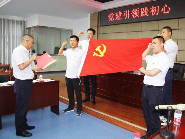 牢記責(zé)任使命，永葆入黨初心 ——新能源公司黨支部開展慶“七一”活動(dòng)