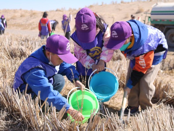 甘肅建投新能源公司沙漠研學(xué)旅行基地舉辦“我與小樹(shù)共成長(zhǎng)，爭(zhēng)做護(hù)綠小使者”主題研學(xué)活動(dòng)