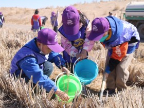 甘肅建投新能源公司沙漠研學(xué)旅行基地舉辦“我與小樹共成長，爭做護(hù)綠小使者”主題研學(xué)活動